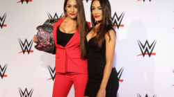 Brie Bella Reveals WWE Return is Facing Major Roadblock
