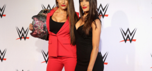 Brie Bella Reveals WWE Return is Facing Major Roadblock