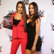 Brie Bella Reveals WWE Return is Facing Major Roadblock