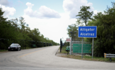 Ron DeSantis Responds to Judge Ordering Halt to Alligator Alcatraz