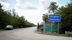 Ron DeSantis Responds to Judge Ordering Halt to Alligator Alcatraz