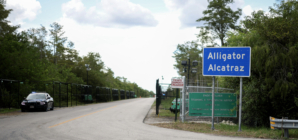 Ron DeSantis Responds to Judge Ordering Halt to Alligator Alcatraz