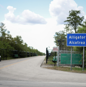 Ron DeSantis Responds to Judge Ordering Halt to Alligator Alcatraz