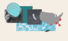 Why Fatal ‘Flesh-Eating’ Bacteria Infections Are On The Rise