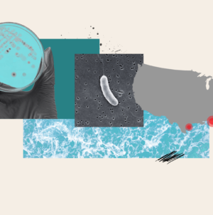 Why Fatal ‘Flesh-Eating’ Bacteria Infections Are On The Rise