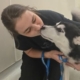 Huskies Left Behind After Owners Moved Out Now Seek a Forever Home