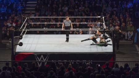 Top WWE Star Suffers Devasting Injury