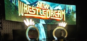 WWE Legend Makes Stunning Return at AEW WrestleDream 2025