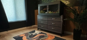 Gen Z Couple Buy Home, No One Prepared for Who Man Dedicates Key Room To