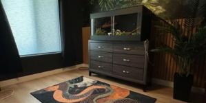 Gen Z Couple Buy Home, No One Prepared for Who Man Dedicates Key Room To