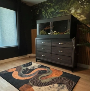 Gen Z Couple Buy Home, No One Prepared for Who Man Dedicates Key Room To