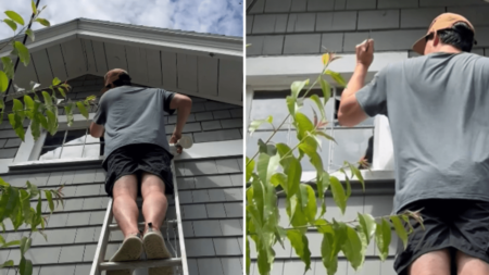 Family Buy House in 2020—Then Realize What’s Been Above Them the Whole Time