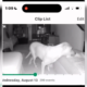 Owner of Paralyzed Dog Checks Security Cam, Can’t Believe What She Sees