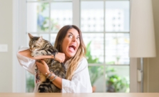 Shock As Gen Z Cat Owner Wakes Up To ‘Face Smeared With Blood’