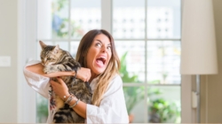 Shock As Gen Z Cat Owner Wakes Up To ‘Face Smeared With Blood’ 