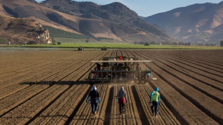 On National Farmers’ Day, Can Farmers Tell Friend From Foe? | Opinion