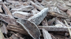 Thousands face plunging subfreezing weather: “Take steps now”