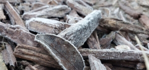 Thousands face plunging subfreezing weather: “Take steps now”