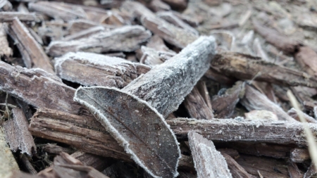 Thousands face plunging subfreezing weather: “Take steps now”