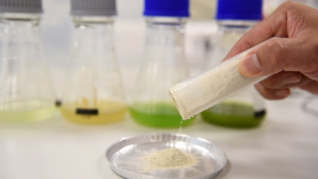 List of Protein Powder Brands Containing Lead After Consumer Reports Investigation