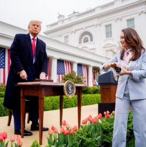 SNAP Benefits Update: Trump Admin Rejects Emergency Funding Amid Government Shutdown