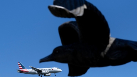 American Airlines Launches New Credit Card—With These Travel Perks