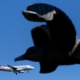 American Airlines Launches New Credit Card—With These Travel Perks