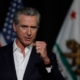 2028 Democratic Polls Show Top Candidates in Three States