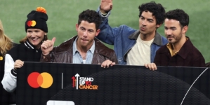 Best Reactions to Jonas Brothers Interrupting World Series Game 2
