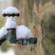 Thousands Face Plummeting Subfreezing Weather Warnings in 6 States