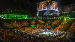 WWE Couple Shares Devastating Personal News