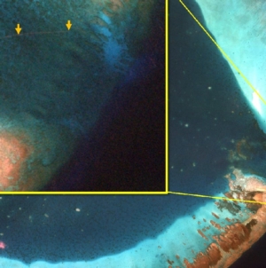 Satellite Photo Shows China Blocking Disputed Territory