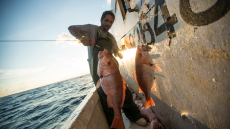 Forget the Guilt—Eating Seafood Can Help Save the Ocean | Opinion