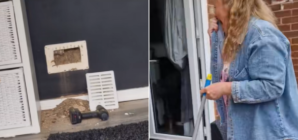 Woman Hears Something ‘Rustling’ in Wall, Not Prepared for What It Is