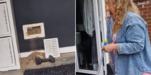 Woman Hears Something ‘Rustling’ in Wall, Not Prepared for What It Is