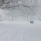 Winter Storm Warning as 8 Inches of Snow to Hit North and Midwest