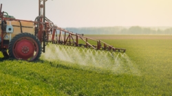 EPA Proposing New Pesticide on Crops Raises Alarm