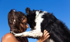 Vet Reveals the Top 5 Emotionally Intelligent Dog Breeds