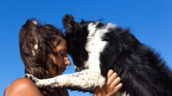 Vet Reveals the Top 5 Emotionally Intelligent Dog Breeds