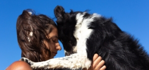 Vet Reveals the Top 5 Emotionally Intelligent Dog Breeds