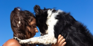 Vet Reveals the Top 5 Emotionally Intelligent Dog Breeds