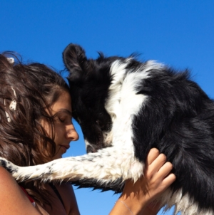 Vet Reveals the Top 5 Emotionally Intelligent Dog Breeds