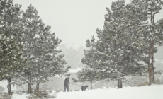 Winter Weather Warnings As 18 Inches of Snow To Hit