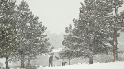 Winter Weather Warnings As 18 Inches of Snow To Hit