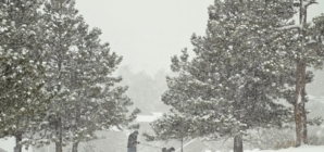 Winter Weather Warnings As 18 Inches of Snow To Hit