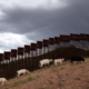 Trump Admin Says Beef Prices Could Hit $10 per Pound Because of Migrants