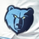 Grizzlies Cutting Ties with Center PJ Hall