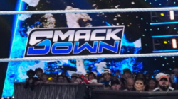 Former WWE Champion Announces Sudden Retirement