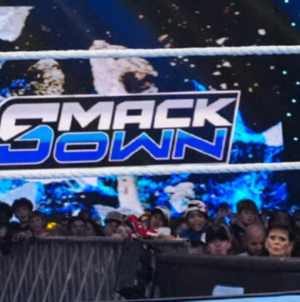 Former WWE Champion Announces Sudden Retirement