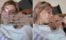 Woman Notices Dog Acting Strange, Next Day She Gets Life-Changing Diagnosis